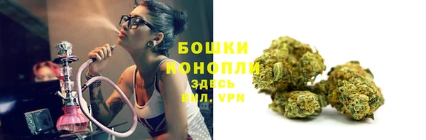 сатива Волоколамск