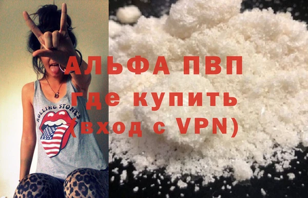 сатива Волоколамск