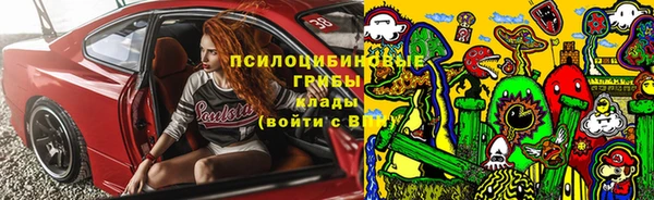 сатива Волоколамск