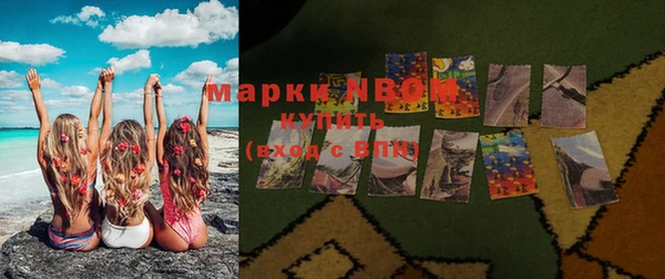 сатива Волоколамск