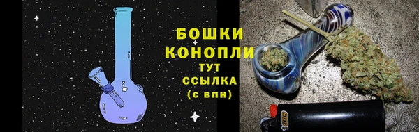 сатива Волоколамск
