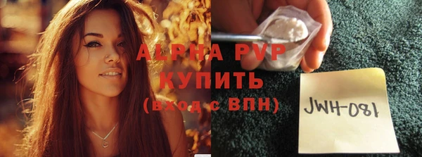 сатива Волоколамск
